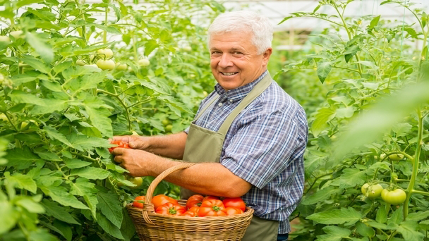 Türkiye’yi Şaha Kaldıracak Proje: Milli Tarım Projesi!