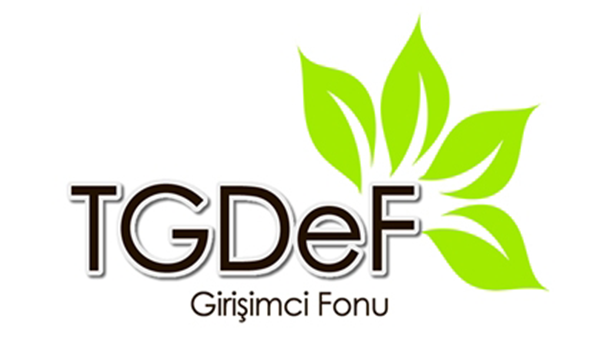 Türkiye Girişimcileri Destekleme Fonu