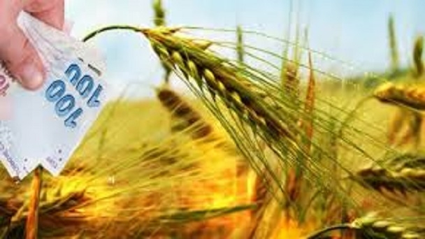 Tarım ve Hayvancılığa Yeni Destekler