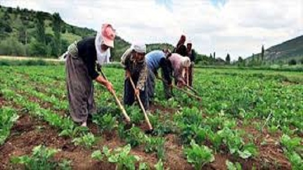  Çiftçiye Büyük Destek Verilecek