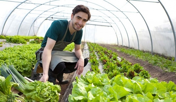 Bu Projeyle Hayatı Değişti!