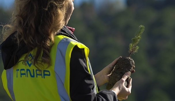 AYB’den TANAP’a 932 Milyon Euro Kredi