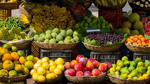 Başvuran Alıyor Hibenizi Başkalarına Kaptırmayın!