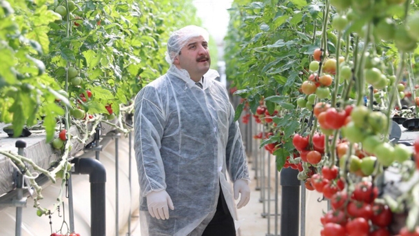 KOSGEB Akıllı Seracılığı Destekleyecek!