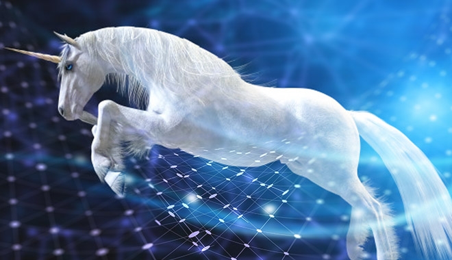 Unicorn Girişim Nedir?