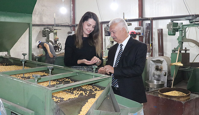 Genç Girişimci Leblebi İmalathanesi Kurdu