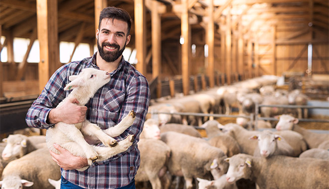 Tarım ve Hayvancılık Yapanlara Hibe ve Teşvikler Nelerdir?